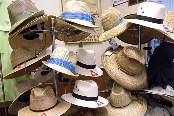 men's Panama hats